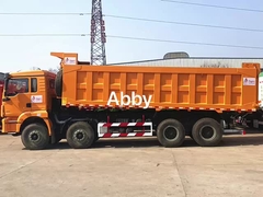 शैकमैन डंप ट्रकों के 5 सेट पूरे हो चुके हैं और ग्राहक के लिए मुद्रित लोगो के साथ शिप किए गए हैं।